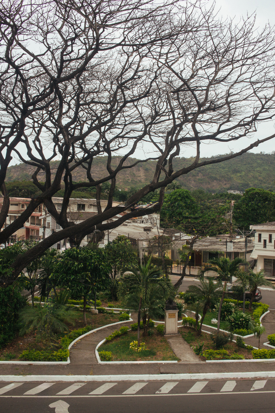 parque frontal edificio laureles